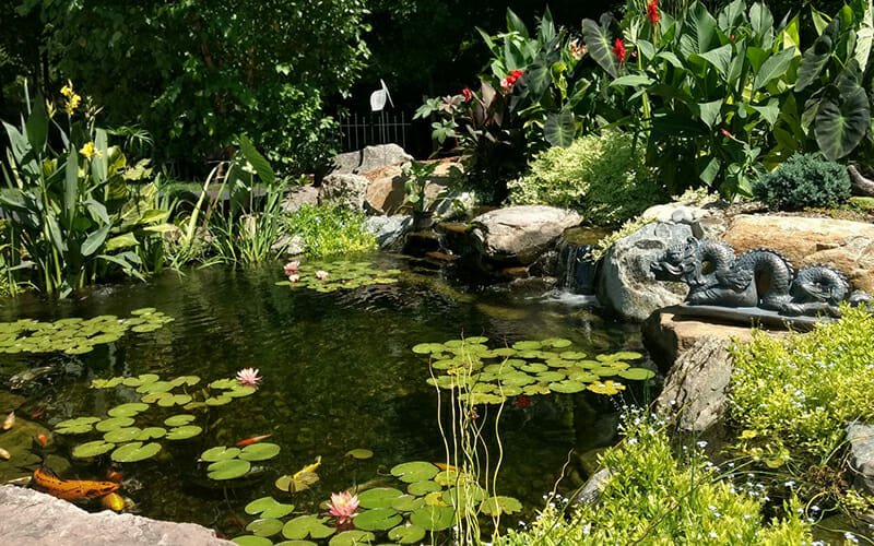 15' x 18' POND: SILVER PACKAGE