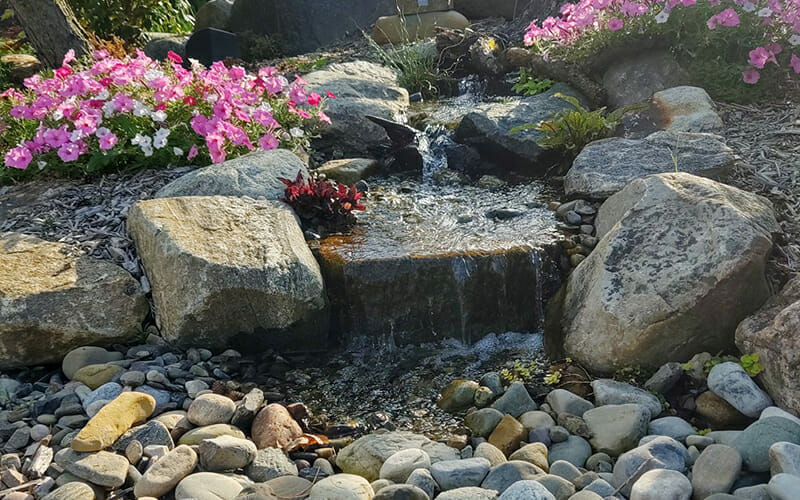 FRONT DOOR PONDLESS: GOLD PACKAGE