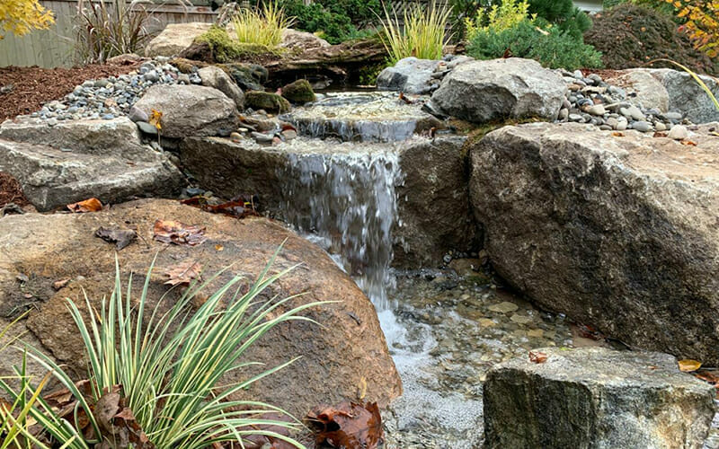 FRONT DOOR PONDLESS: PLATINUM PACKAGE