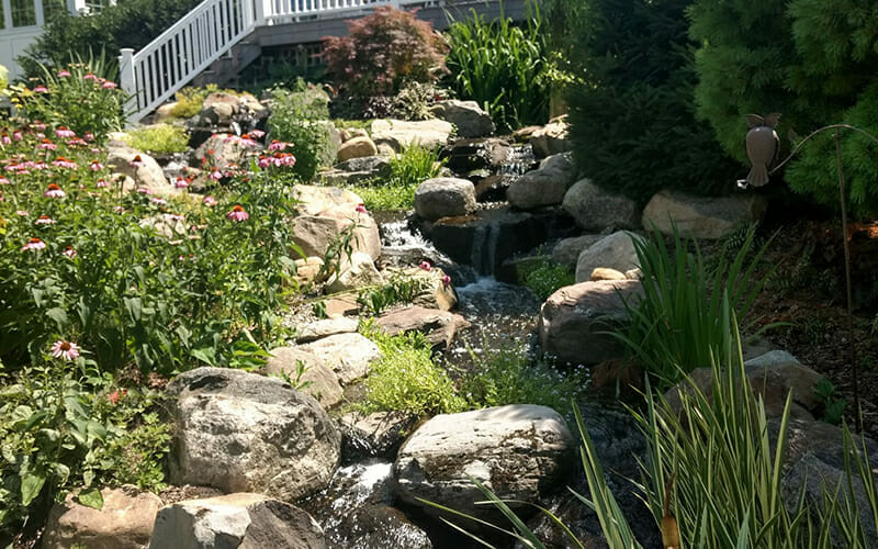 EXTRA LARGE PONDLESS: SILVER PACKAGE