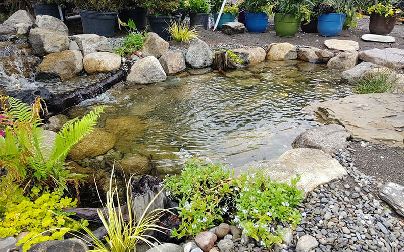 8’ x 11’ POND: GOLD PACKAGE