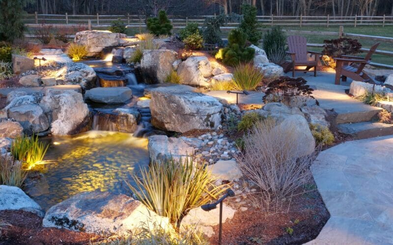 LARGE PONDLESS: PLATINUM PACKAGE